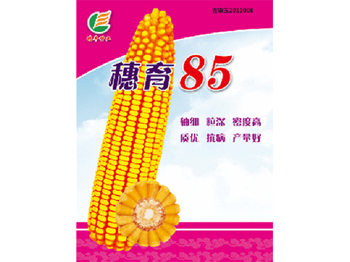 玉米栽培技术